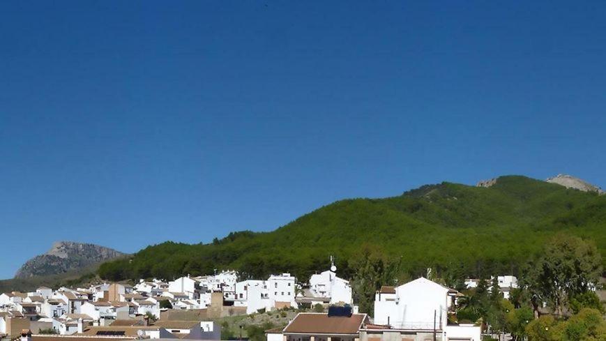 Hostal El Pinar Montecorto Zewnętrze zdjęcie